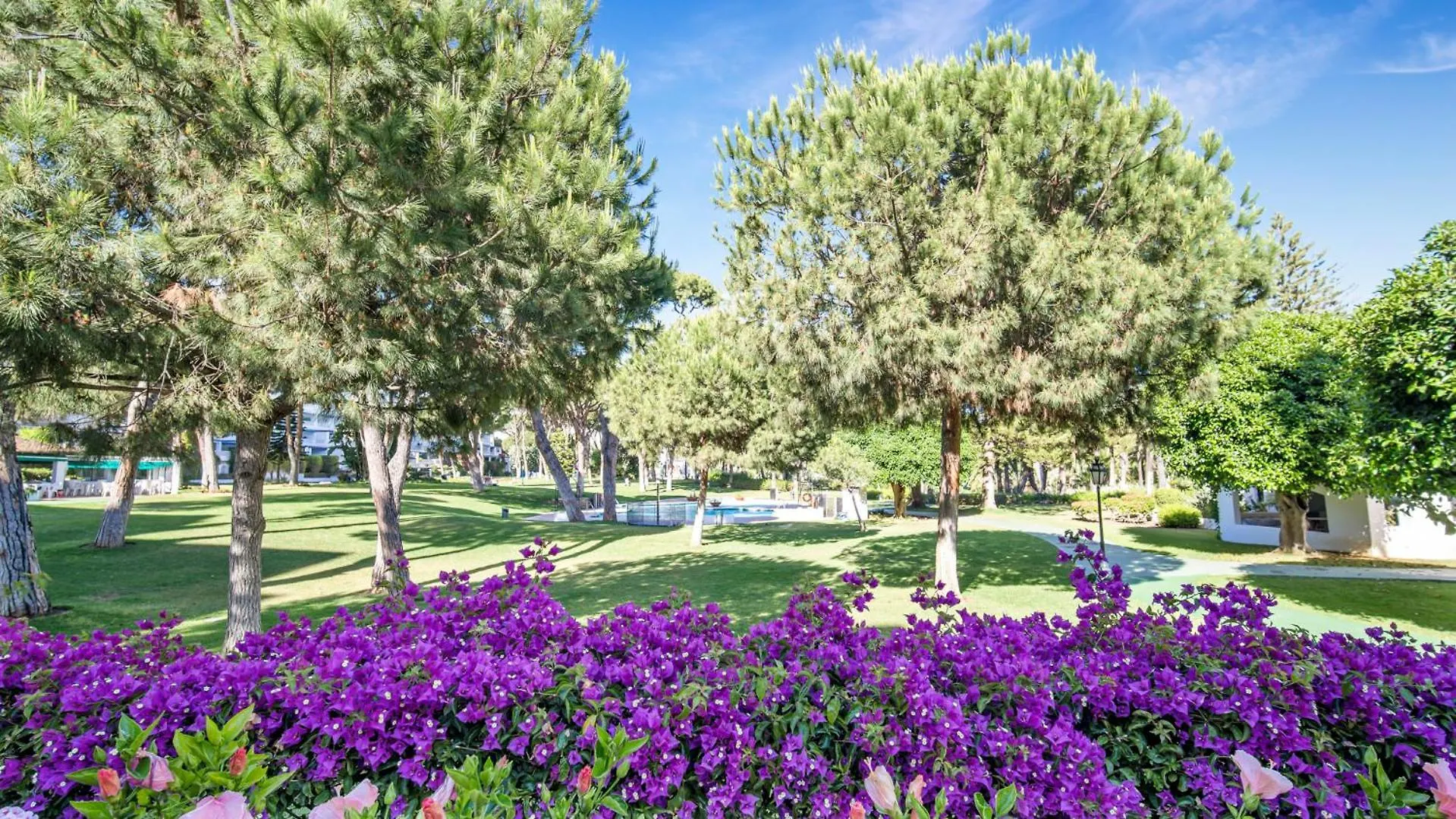 Vista Mar Y Piscina En Puerto Banus Διαμέρισμα Μαρμπέλλα